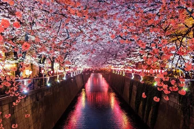 7 Days in Japan: Tokyo, Kyoto & Osaka Without the Rush